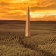 Image for article titled 2020 Race Upended After New Poll Finds Trump, Democrats Trailing Mysterious Rune-Covered Obelisk By 80 Points